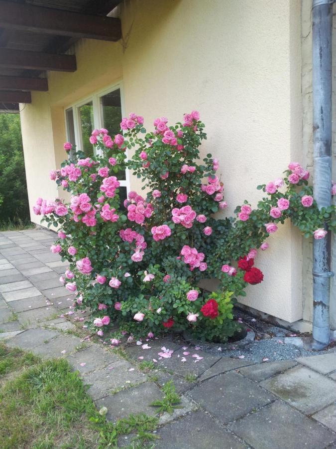 Ferienwohnung Am Spreeradweg Neusalza-Spremberg Zewnętrze zdjęcie
